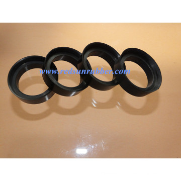 Viton Lip Seal